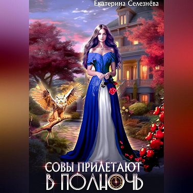 Совы прилетают в полночь