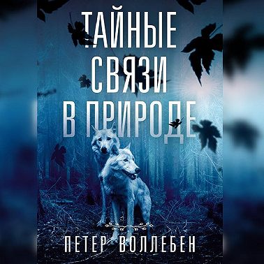 Тайные связи в природе
