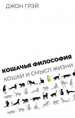 Кошачья философия. Кошки и смысл жизни