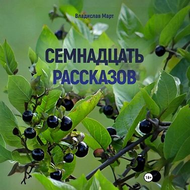 Семнадцать рассказов