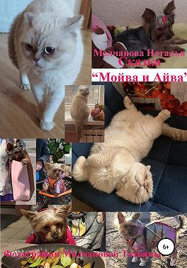 Сказка «Мойва и Айва»