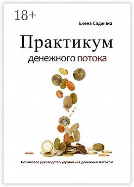 Практикум денежного потока. Пошаговое руководство управления денежным потоком