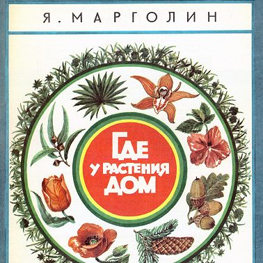 Где у растения дом