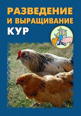 Разведение и выращивание кур