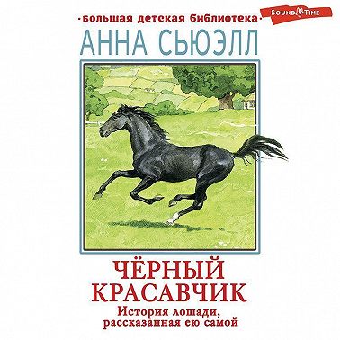 Черный красавчик