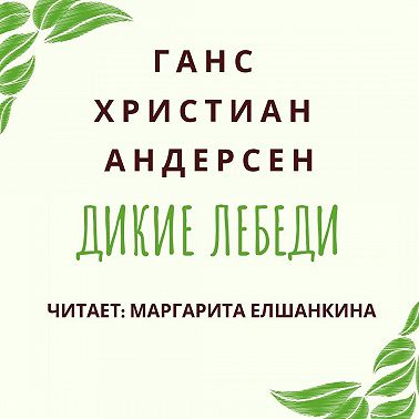 Дикие лебеди