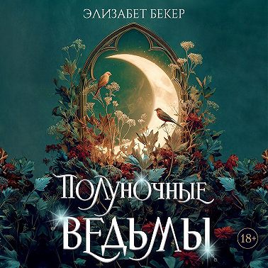 Полуночные ведьмы