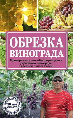 Обрезка винограда. Проверенные способы формировки укрывного винограда в средней полосе России