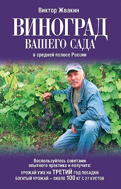 Виноград вашего сада в средней полосе России