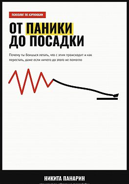 От паники до посадки
