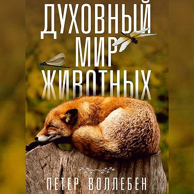 Духовный мир животных