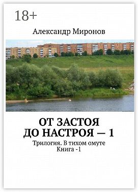 От застоя до настроя – 1. Трилогия. В тихом омуте. Книга – 1