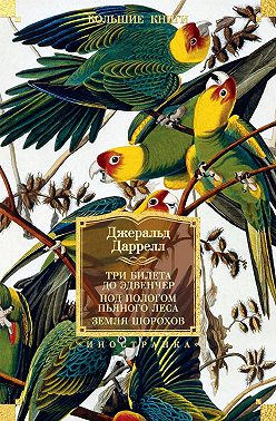 Три билета до Эдвенчер; Под пологом пьяного леса; Земля шорохов