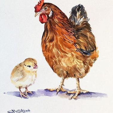 1 февраля /Как курица целует цыплят?