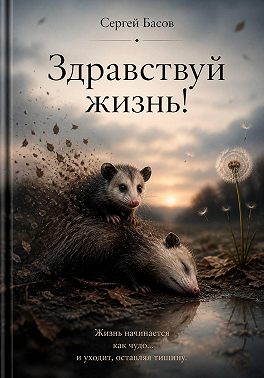 Здравствуй жизнь!