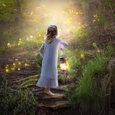 Фонарь затерянного леса