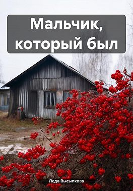 Мальчик, который был