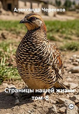 Страницы нашей жизни Том-8