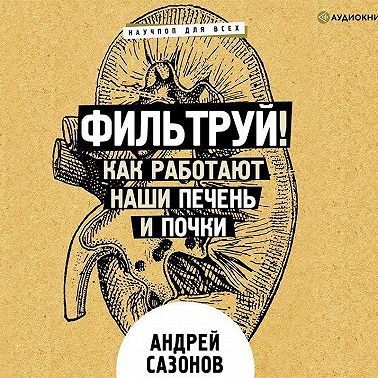 Фильтруй! Как работают наши печень и почки