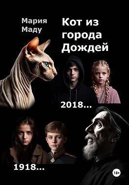 Кот из Города дождей