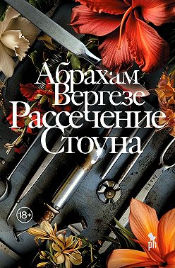 Рассечение Стоуна