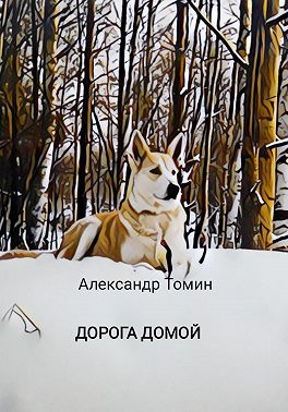 Дорога домой