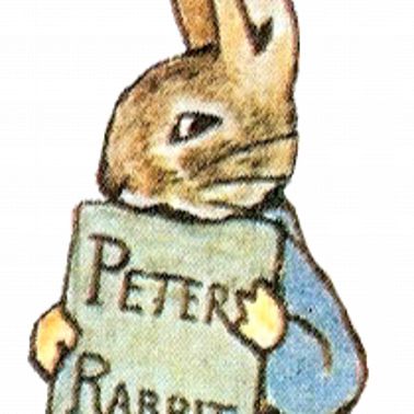 "The Tale of Peter Rabbit" by Beatrix Potter