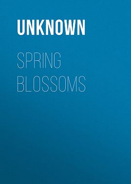 Spring Blossoms