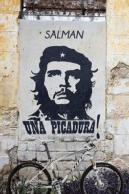 Una Picadura