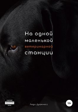 На одной маленькой ветеринарной станции