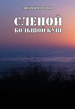 Слепой. Большой куш