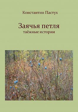 Заячья петля
