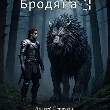 Бродяга 3