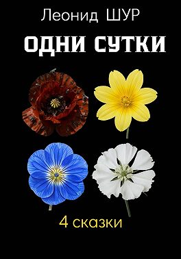 Одни сутки
