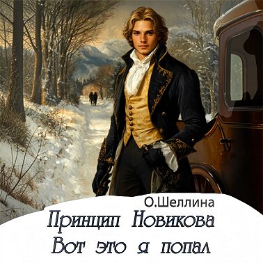 Принцип Новикова. Вот это я попал