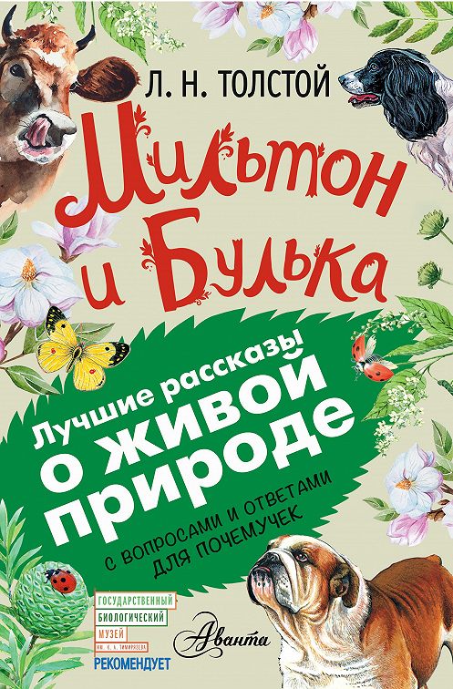 Толстой булька читать с картинками полностью